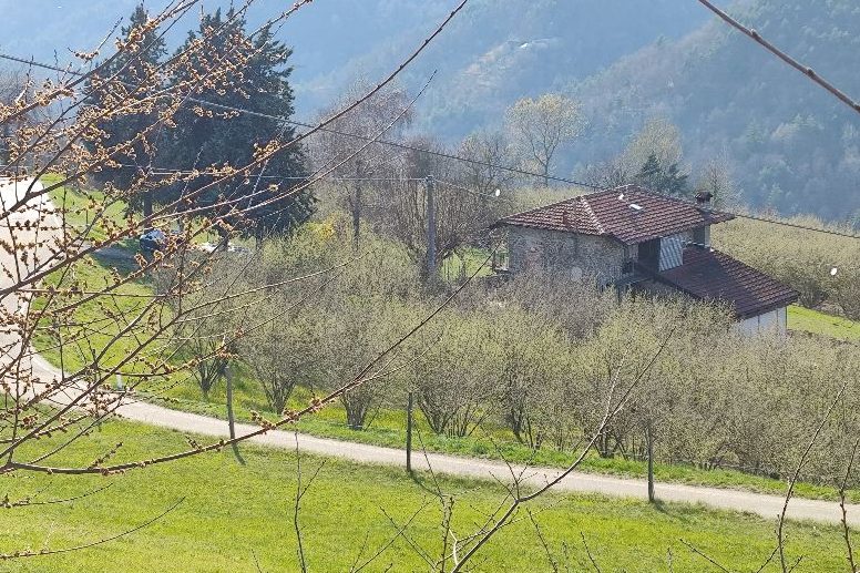 Niella Belbo Zicht op Niella Belbo en de Alpen